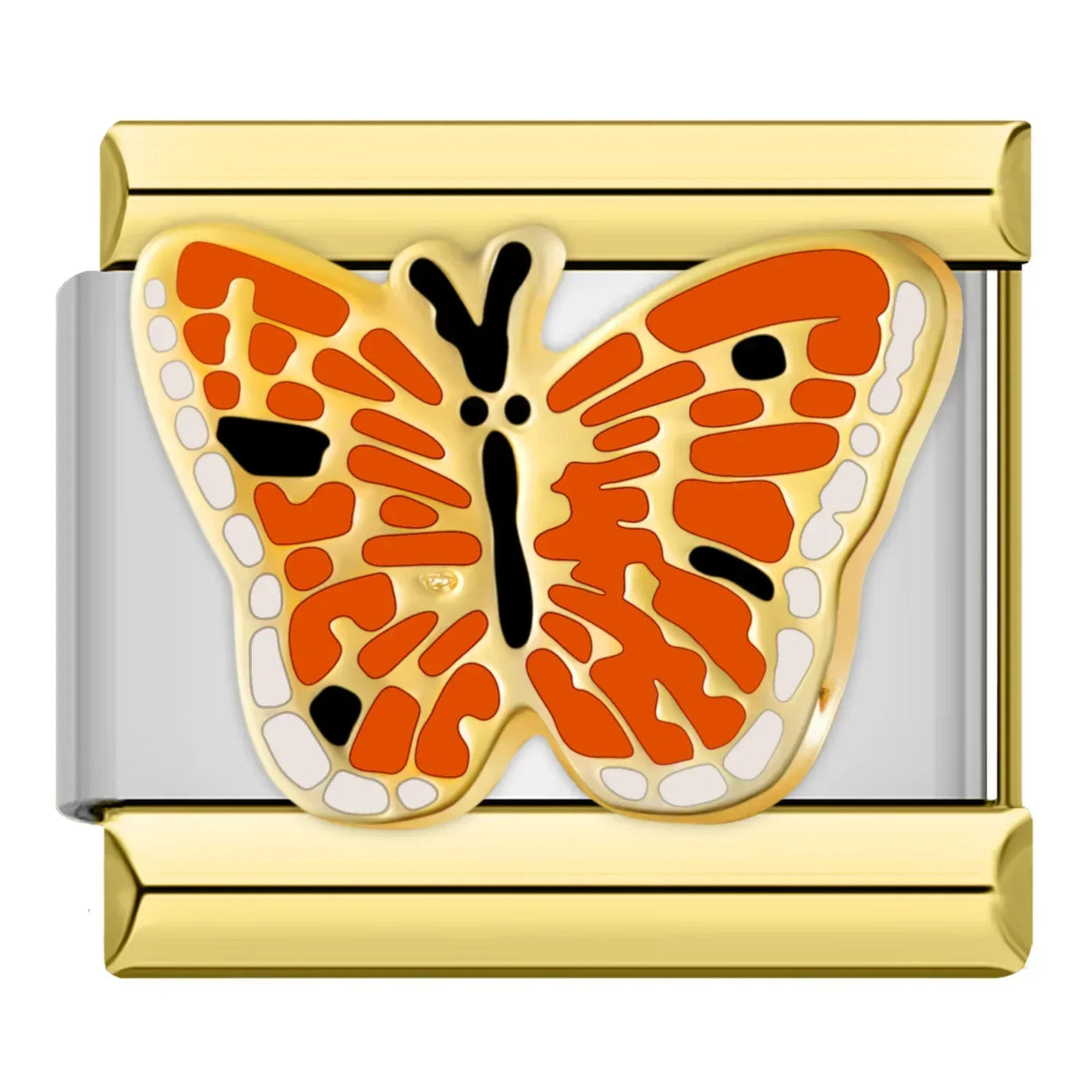 Mariposa bi-color